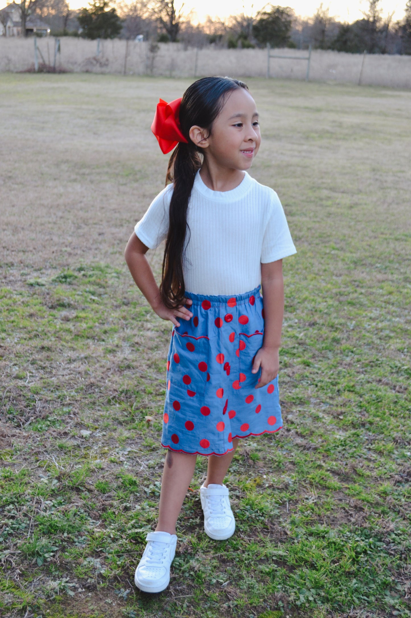 Girls Lady Bug Skirt