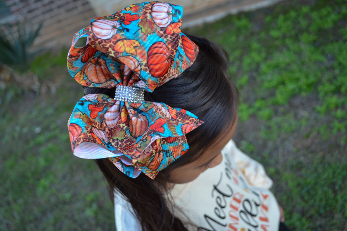 Holiday print bows