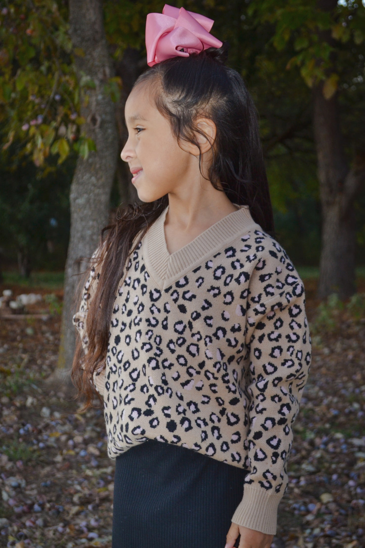 Tan/Pink Cheetah Sweater